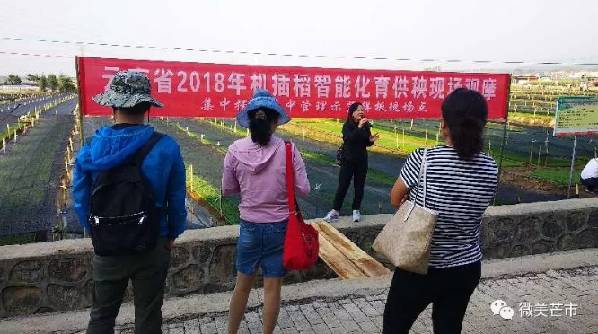 微信截图_20180427234149