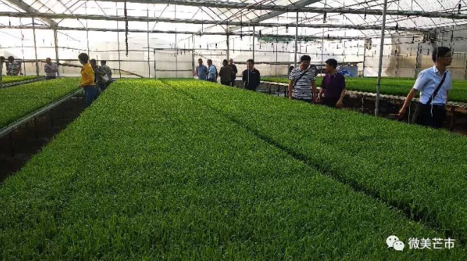 微信截图_20180427234347