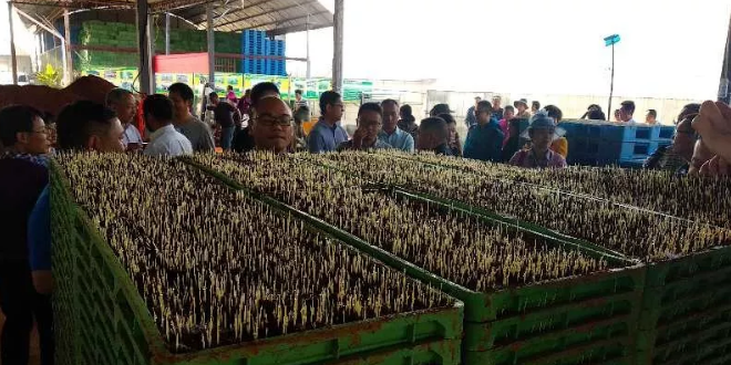 微信截图_20180427234231