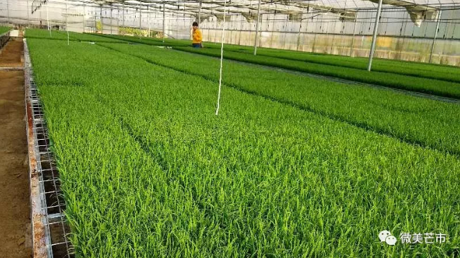 微信截图_20180427234420