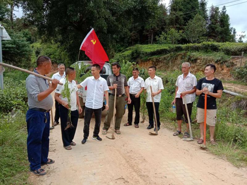 2020.7.2与大水井村党总支庆祝中国共产党成立99周年大会9