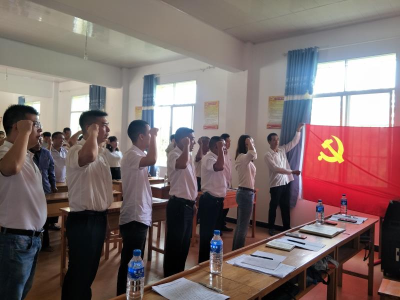 2020.7.2与大水井村党总支庆祝中国共产党成立99周年大会2