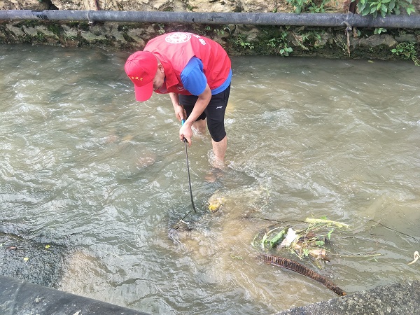 2020.7.30开展南秀河清理整治工作4