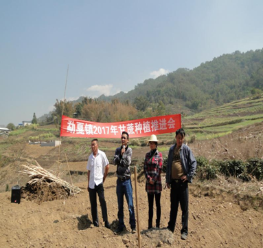 QQ图片20170307180012