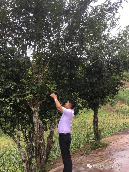 微信图片_20191016090751