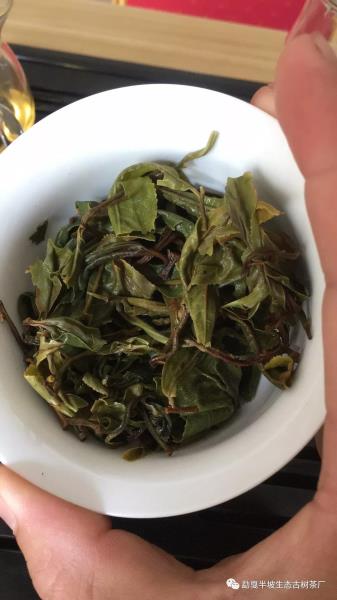 微信图片_20191016090758