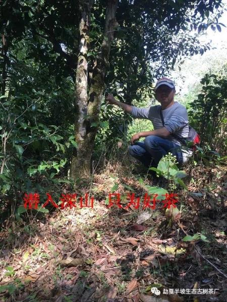 微信图片_20191016090829