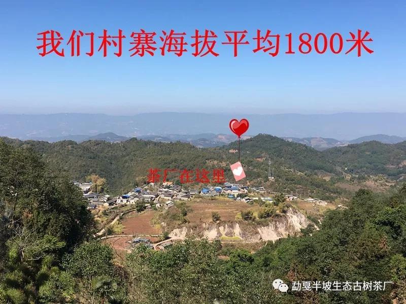 微信图片_20191016090845