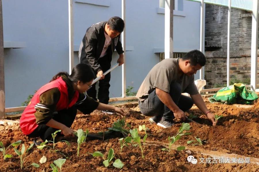 微信图片_20191029174118