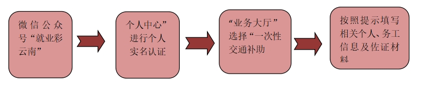 微信截图_20241205231542