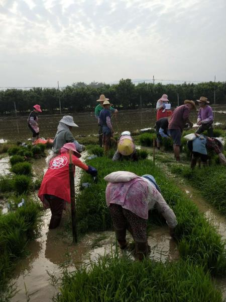 微信图片_202005290944211