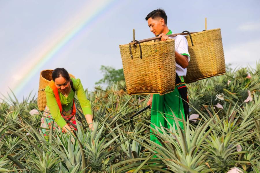 微信图片_20200828143156