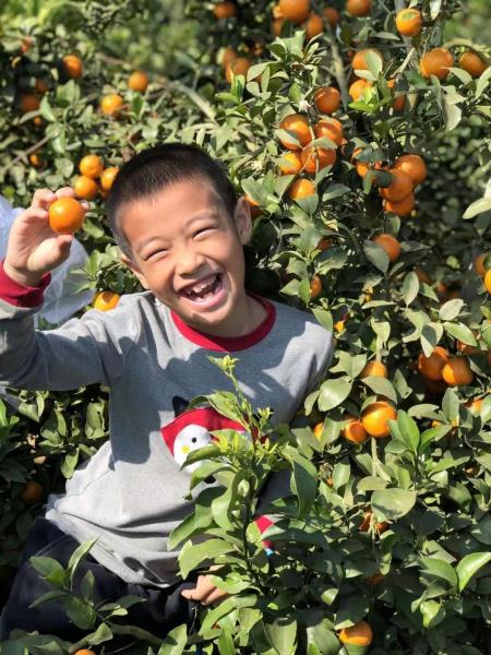 f1d246709d3744aa5c150fcc695bc96