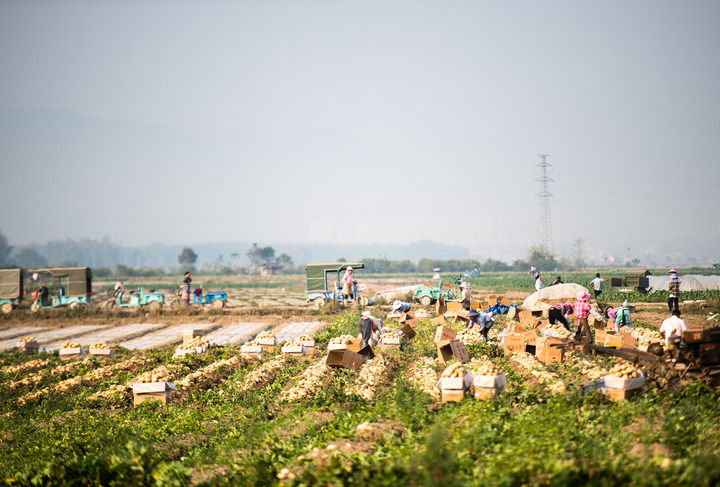 微信图片_20210317162753