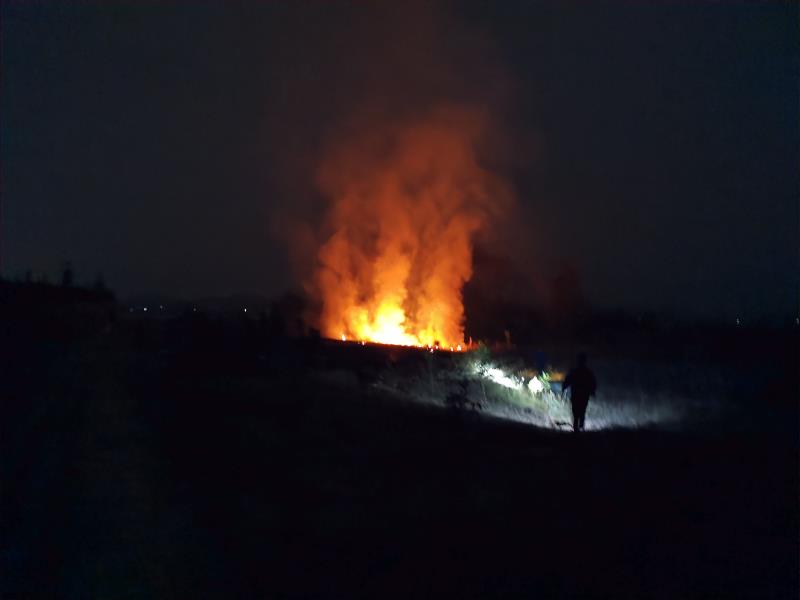 296aaa132914b75c8a04ab01ffad086