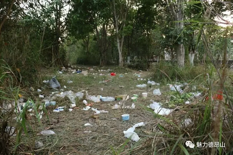 mmexport1492052506879