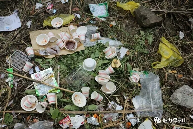 mmexport1492052513045