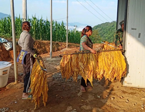 微信图片_20210913233325