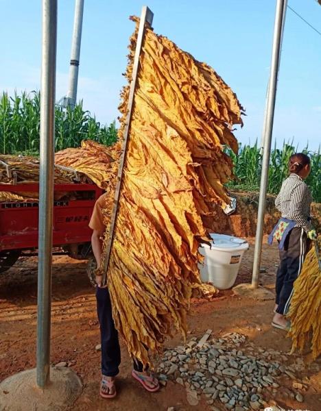 微信图片_20210913233335