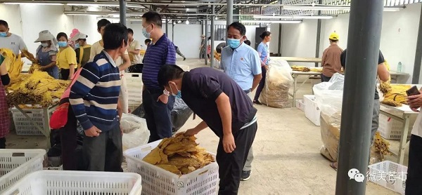 微信图片_20210913233345