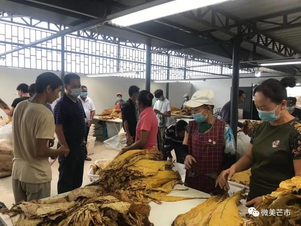 微信图片_20210913233350