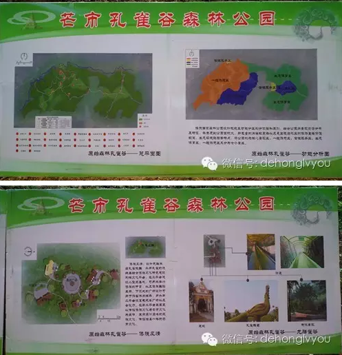 QQ图片20160519091052