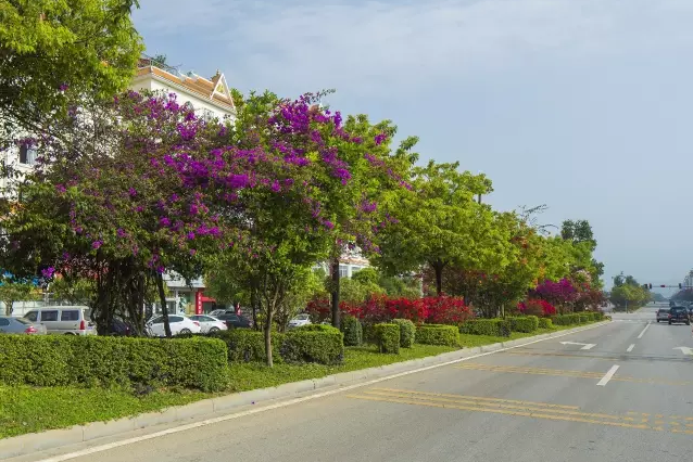 QQ图片20160705081528