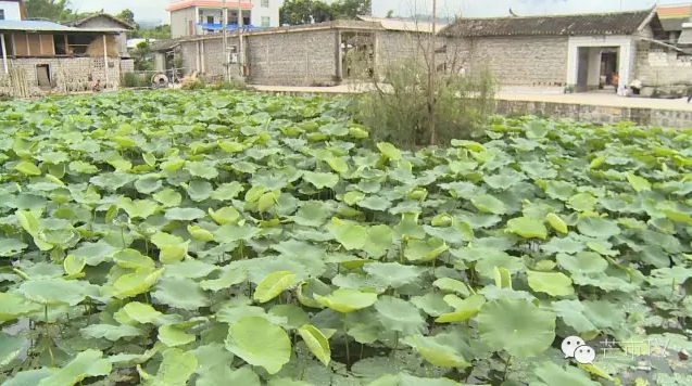 QQ图片20160715153214