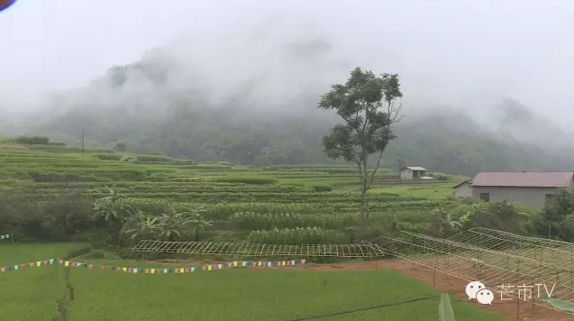 QQ图片20160803110329