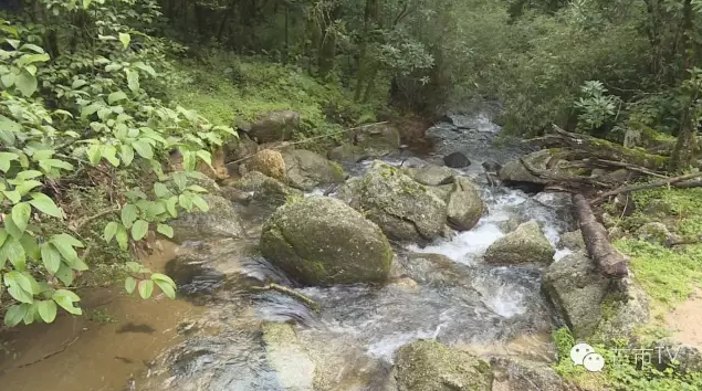 QQ图片20160803110401