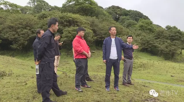 QQ图片20160803110422