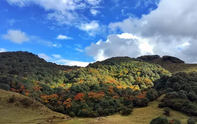 QQ图片20160822101150