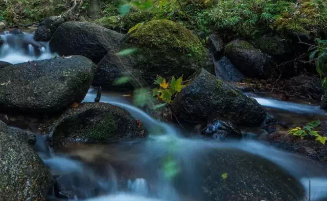 QQ图片20160822101227