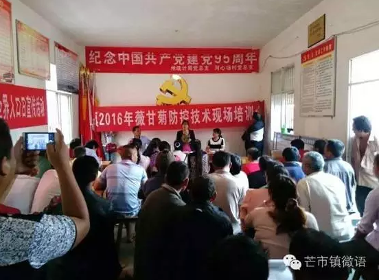 QQ图片20160823100517