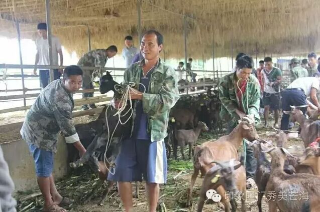 QQ图片20160823100352