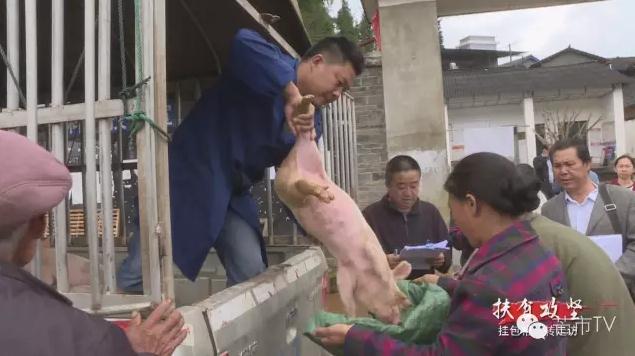 360截图20160926105833130