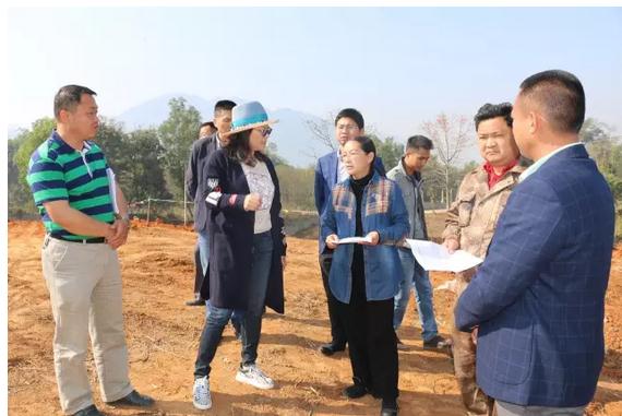 360截图20170302101618849