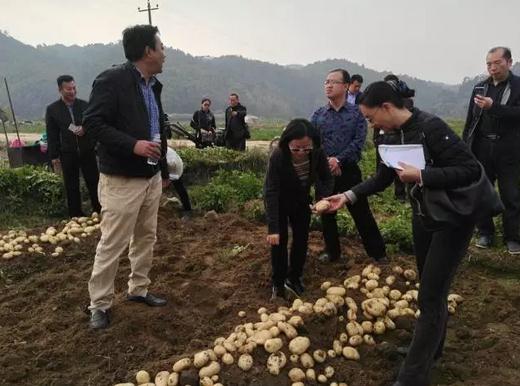 360截图20170307090133287