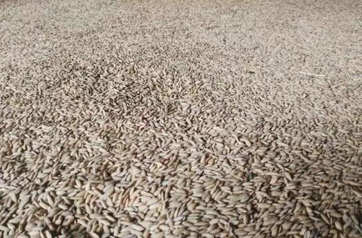 360截图20170307090106045