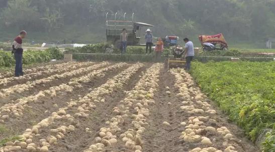 360截图20170310110849367