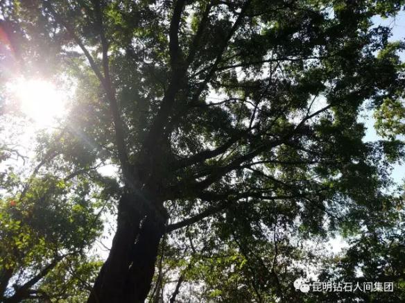 360截图20170510155000288