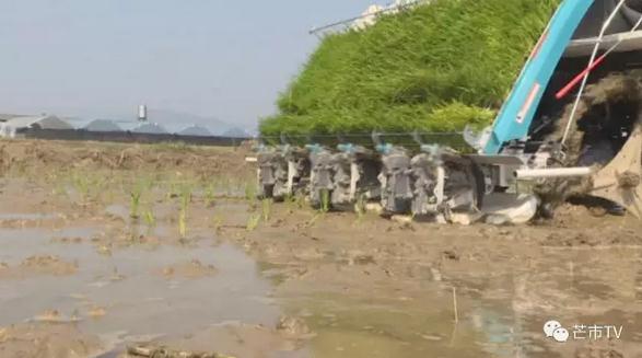 360截图20170519171529236