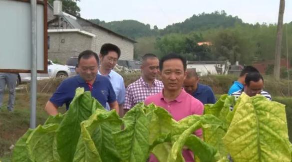 360截图20170602171522631