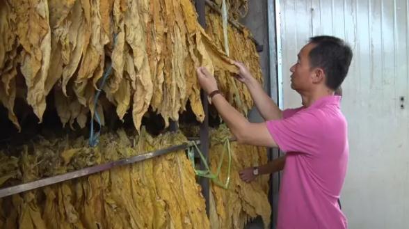 360截图20170602171553054