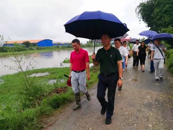 360截图20170706151415657