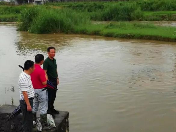 360截图20170706151446216