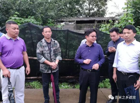 360截图20170710180425176