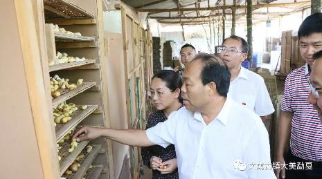 360截图20170821152355944