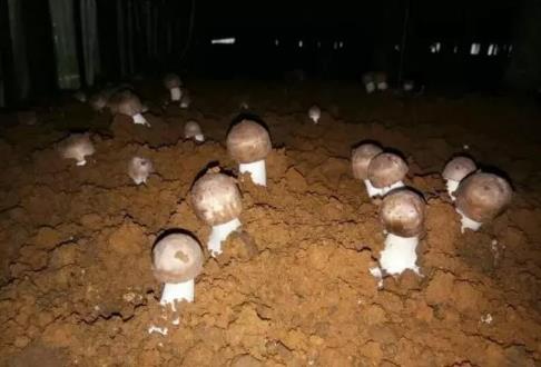 360截图20170915184850794