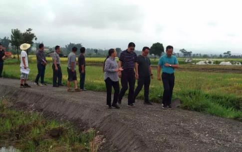 360截图20170915185224791